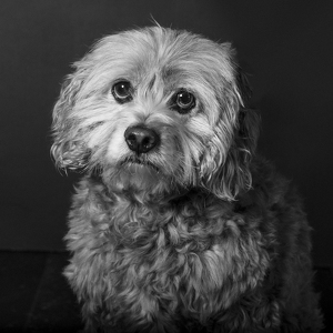 Fundraising Page: Mylie Jones